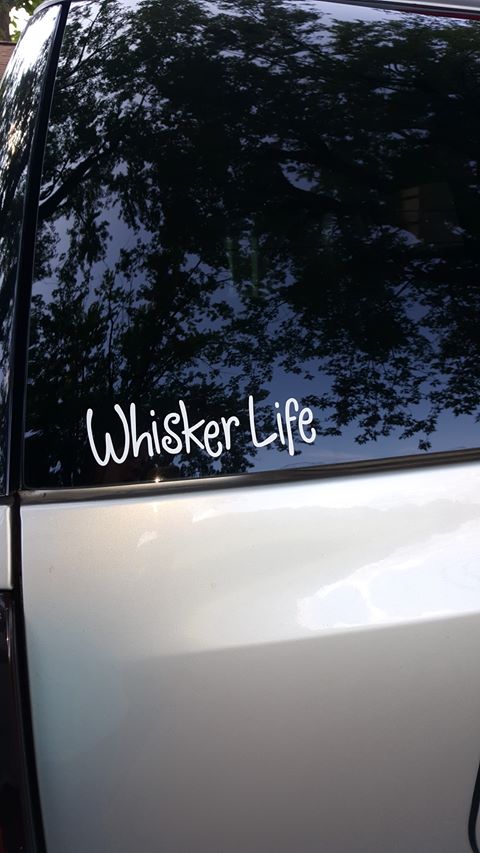 Whisker Life Decal